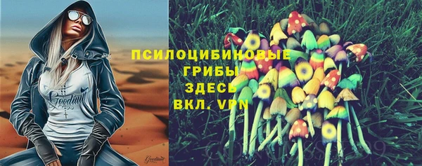 гидра Алексин