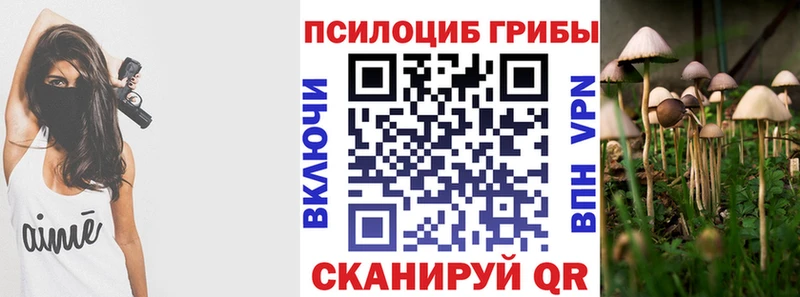 OMG ONION  Междуреченск  Псилоцибиновые грибы Psilocybe 