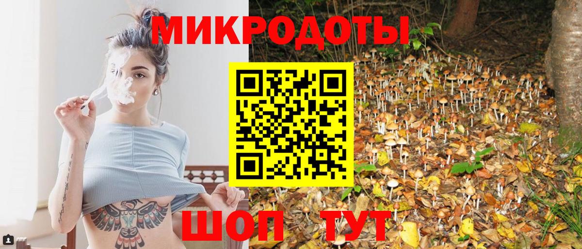 Галлюциногенные грибы прущие грибы Междуреченск